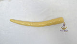 Chief Elephant Tusk Replica – African Traditional Igbo Nigerian Edo Delta Odu Hand-Held Nze/Ozo Staff