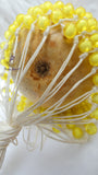 Yellow Nigeria African Shekere A Traditional African Percussion Instrument